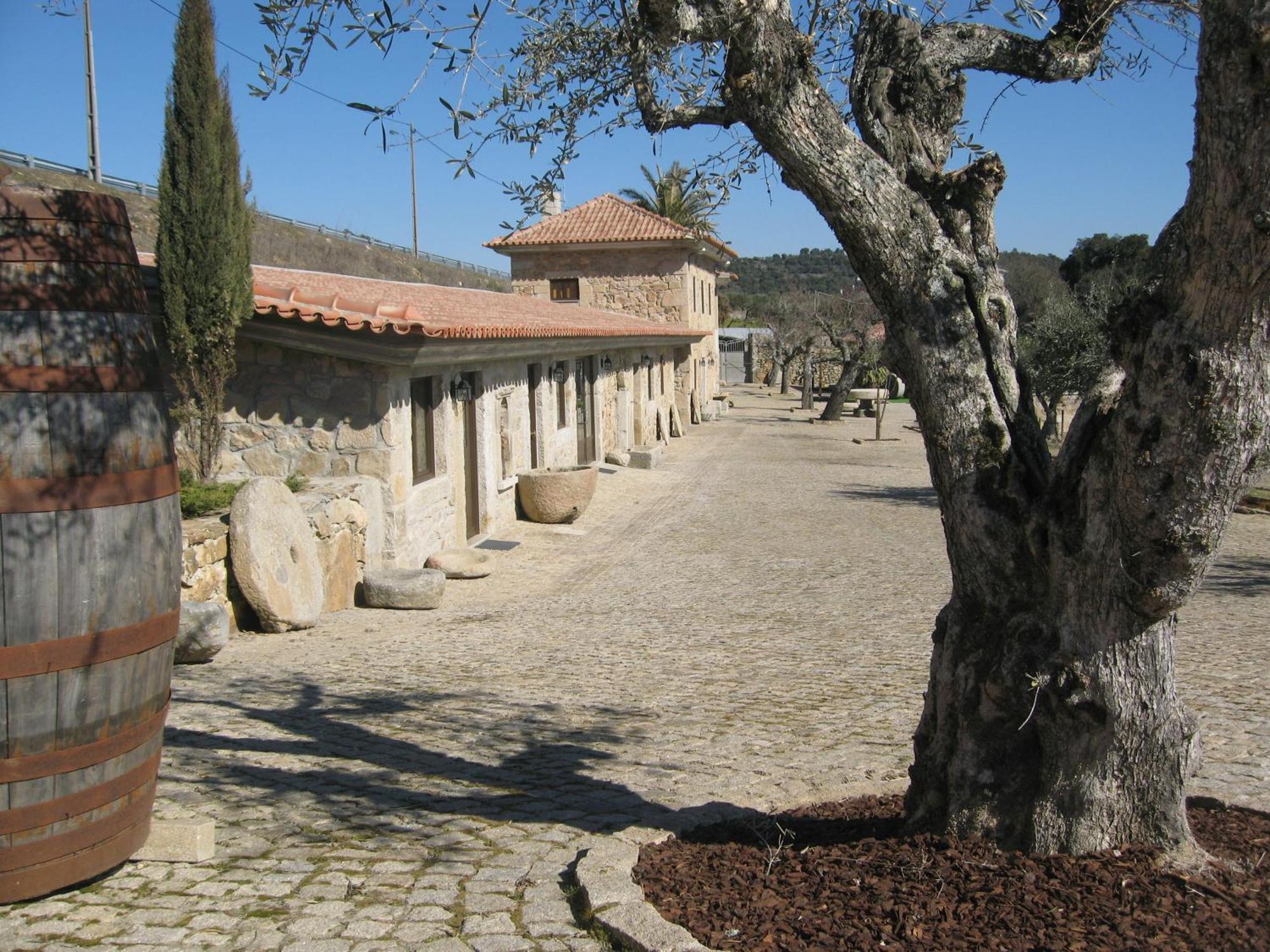 Quinta Das Pias - Holiday Farm Пиньел Экстерьер фото